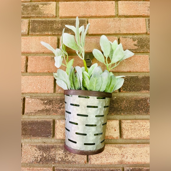 *Lamb’s Ear Pick, 13”, Bundle of 3 - Picture 6 of 13